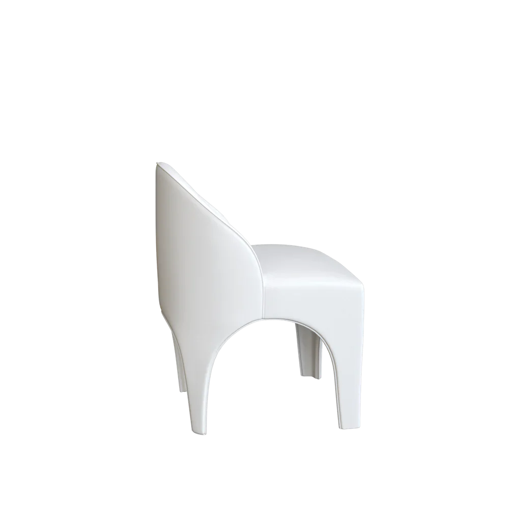 Bundle: The Upholstered Sophie Dining Chair - Image 15